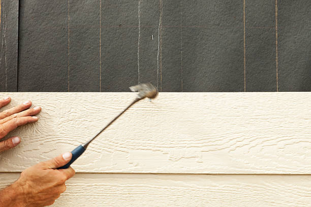 Best Stone Veneer Siding  in Hemet, CA